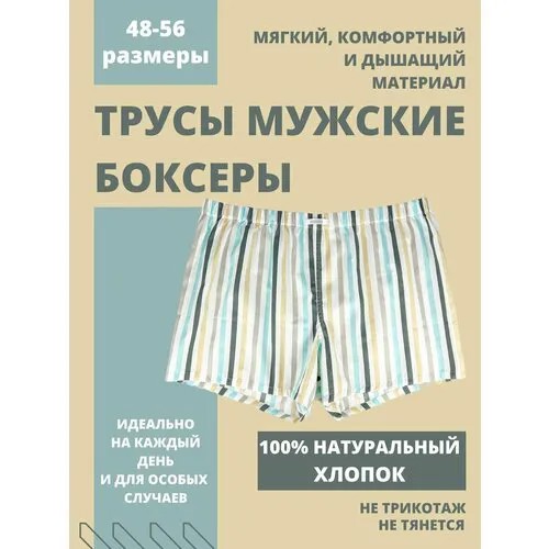 Трусы СВОБОДА, размер 54, бежевый, бирюзовый, синий, голубой