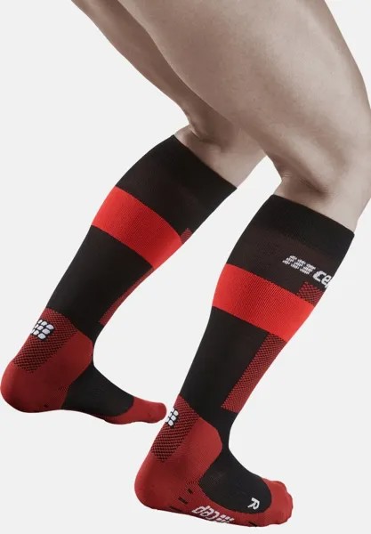 СДЕЛАНО В ГЕРМАНИИ Merino Compression Socks Ski Knee-High Men CEP, спортивные носки красные