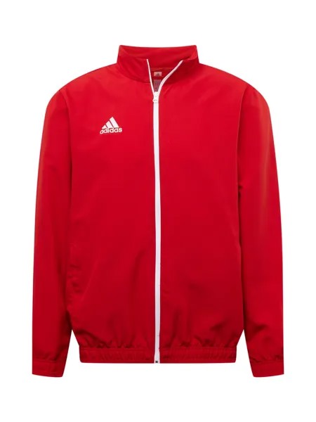 Спортивная куртка Adidas Entrada 22, красный
