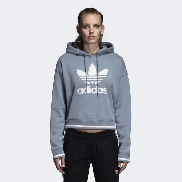 Adidas Wmns Originals Active Icons Толстовка New Raw Grey White DH2943
