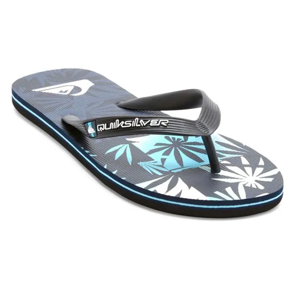 Шлепанцы Quiksilver Molokai Art II, синий