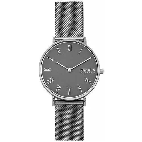 Женские наручные часы Skagen SKW2814