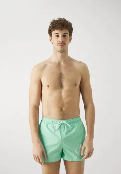 Плавательные шорты Calvin Klein Swimwear, зеленый