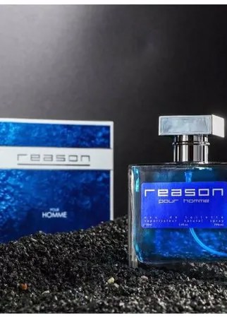 Понти Парфюм Туалетная вода мужская Reason pour homme, 100 мл