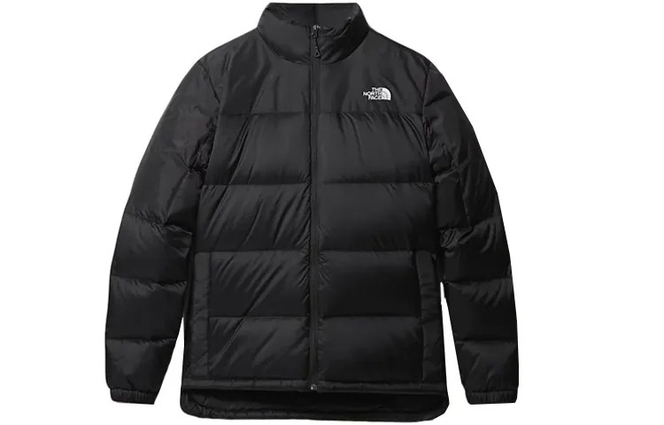 THE NORTH FACE Мужской пуховик, цвет Black