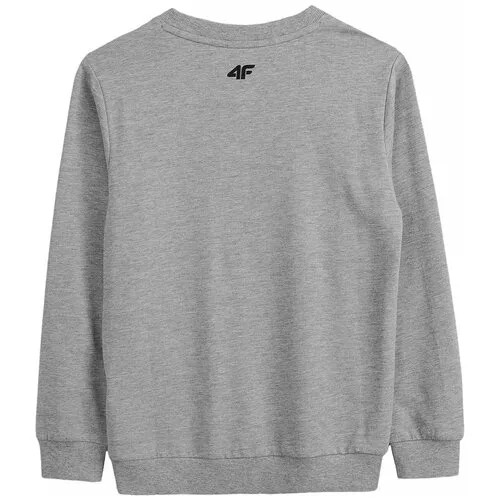 Лонгслив 4F BOY'S LONGSLEEVES Дети HJZ21-JTSML003A-25M 152