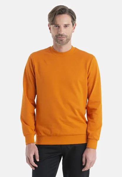 Толстовка Merino Central Ii Ls Sweatshirt Icebreaker, цвет earth