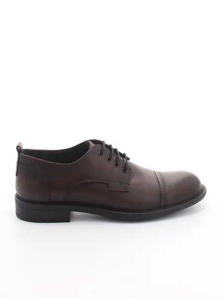 Туфли TOFA мужские демисезонные, размер 44, цвет коричневый, артикул 129472-5