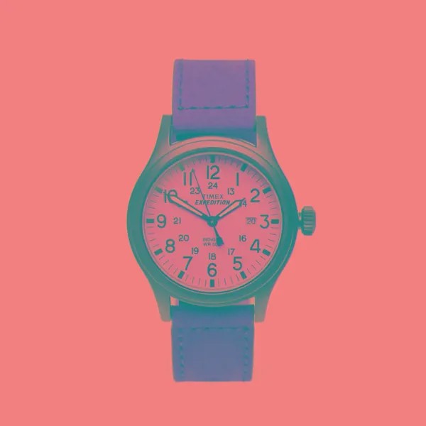 Наручные часы Timex Expedition Scout
