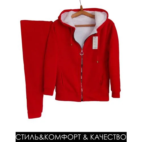 Спортивный костюм из флиса красный, демисезонный, брюки и олимпийка на подкладе из искусственного меха.