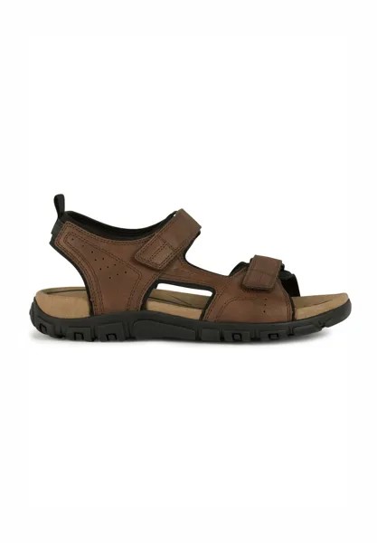 Трекинговые сандалии U STRADA Geox, цвет dark brown