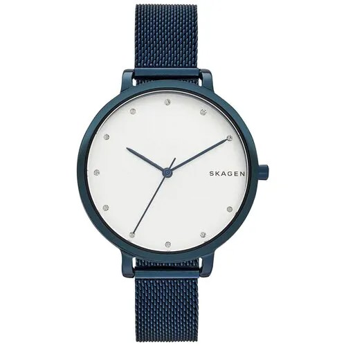 Наручные часы SKAGEN SKW2579