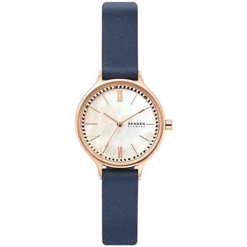 Наручные часы Skagen SKW2864