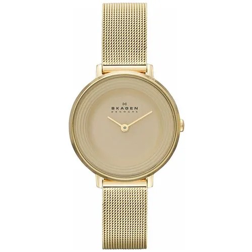 Наручные часы Skagen SKW2212