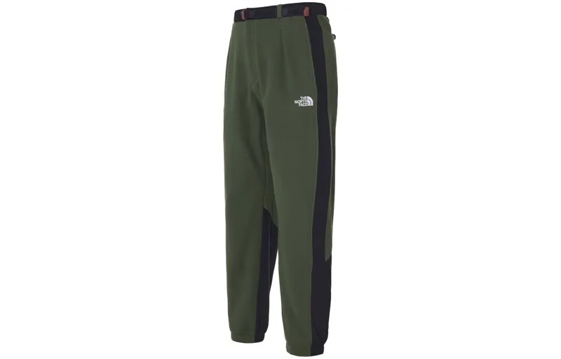 Трикотажные спортивные штаны мужские зеленые The North Face, зеленый