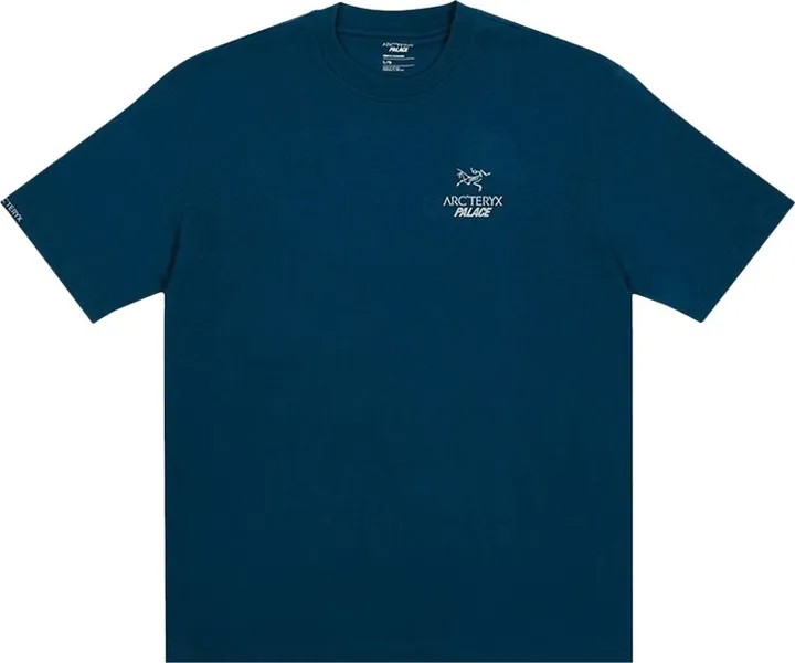 Футболка Palace x Arc'teryx T-Shirt 'Teal', бирюзовый