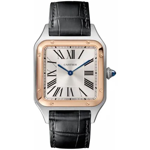 Наручные часы Cartier мужские Наручные часы Cartier W2SA0011, автоподзавод, белый, серебряный