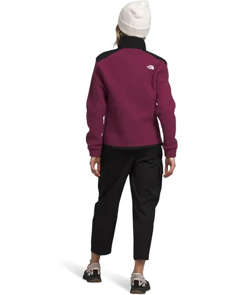 Куртка The North Face Alpine Polartec 200 Full Zip Jacket, цвет Boysenberry/TNF Black