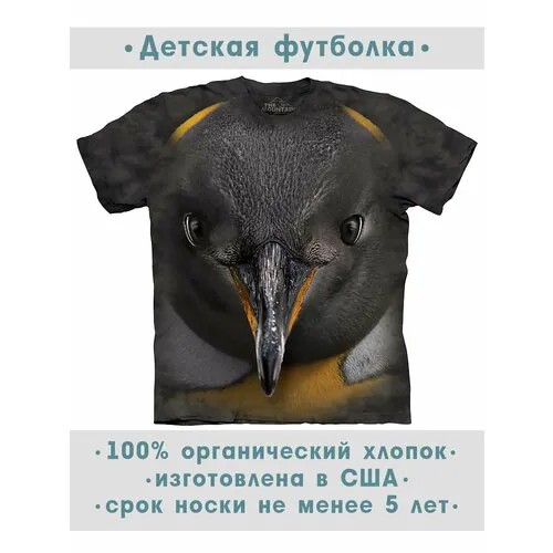 Футболка The Mountain, размер S-Y, черный