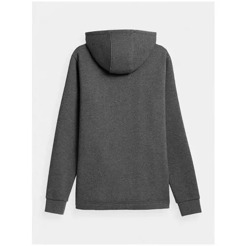 Толстовка 4F MEN'S SWEATSHIRTS H4Z21-BLM013-24M S