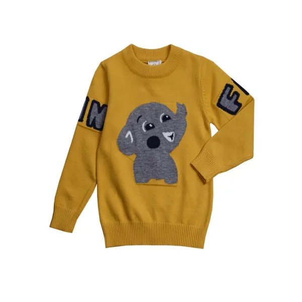 Cascatto  Джемпер для мальчика DGDM1804
