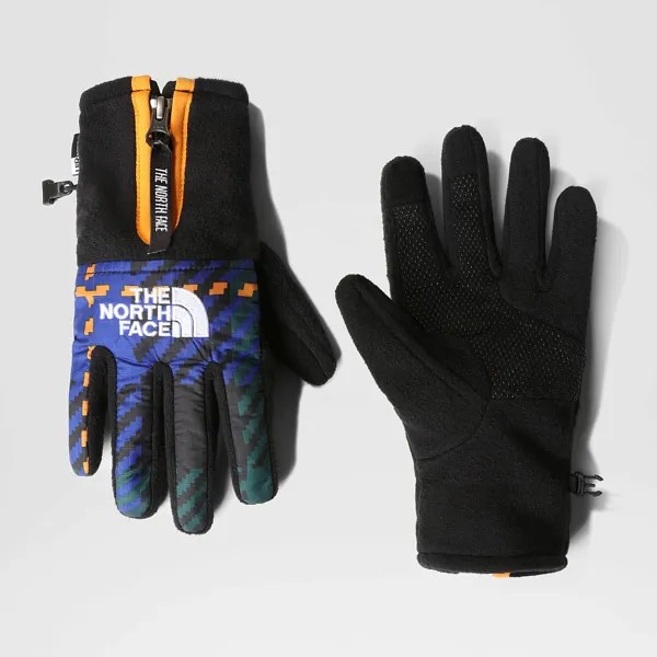 Перчатки The North Face Denali Etip Glove