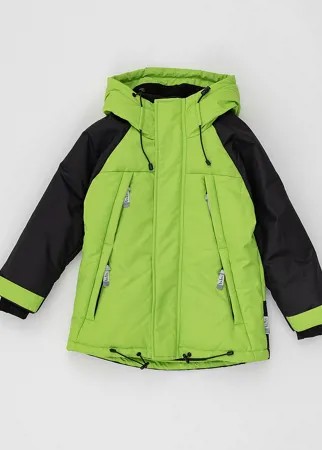 Демисезонная куртка Active Button Blue
