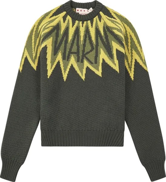 Свитер Marni Fire Island Logo Roundneck 'Leaf Green', зеленый