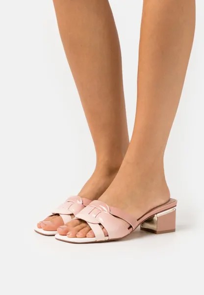 Шлепанцы ALDO