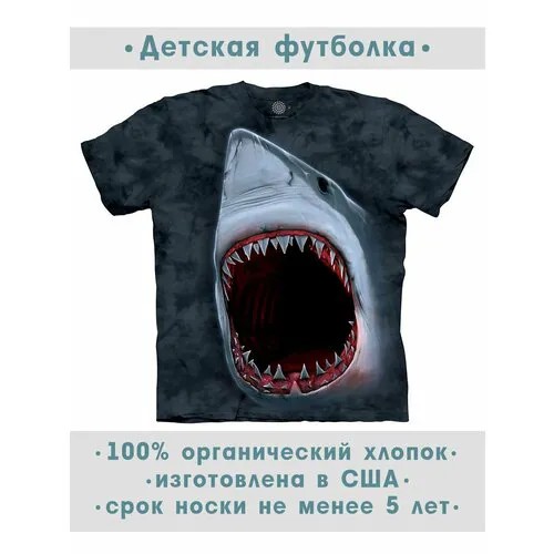 Футболка The Mountain, размер S-Y, синий