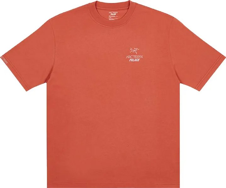 Футболка Palace x Arc'teryx T-Shirt 'Ochre', оранжевый