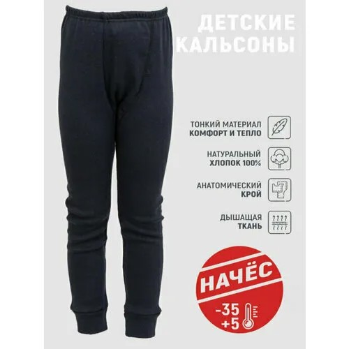 Термобелье низ Чебоксарский Трикотаж, размер 84, рост 164 см, синий