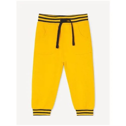 Жёлтые спортивные брюки Jogger для мальчика Gloria Jeans, размер 9-12мес/80