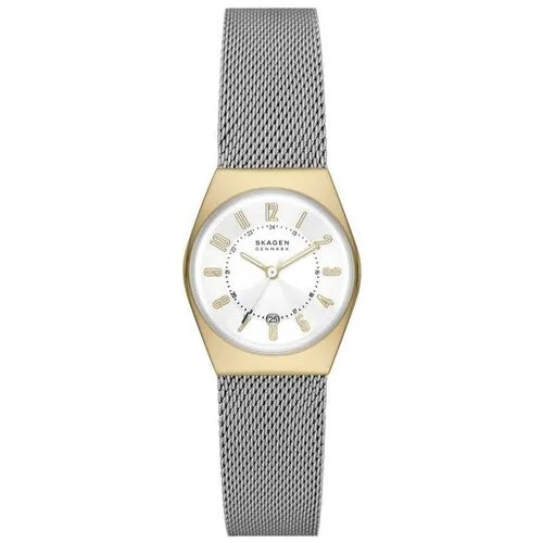 Наручные часы SKAGEN Наручные часы Skagen SKW3051, серебряный