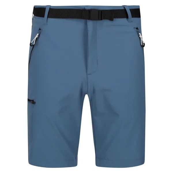 Шорты Regatta kurze Wanderhose Xert, цвет Stellar