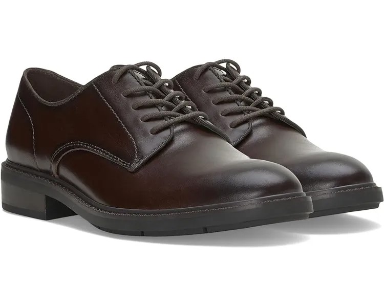 Оксфорды Vince Camuto Ferdie Oxford, темно-коричневый