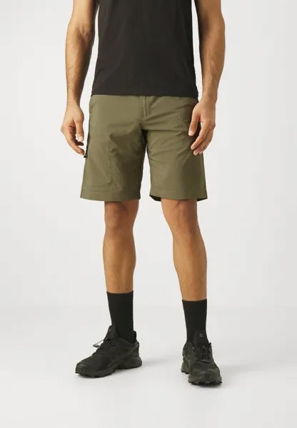 Спортивные шорты Silver Ridge Utility Columbia, цвет stone green