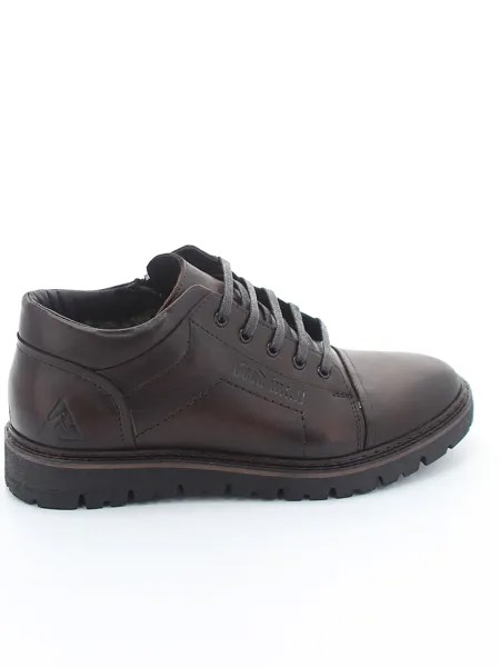 Ботинки TOFA мужские зимние, размер 40, цвет коричневый, артикул 309144-6