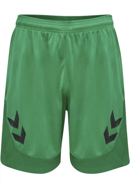 Тренировочные брюки Hummel LEAD, зеленый