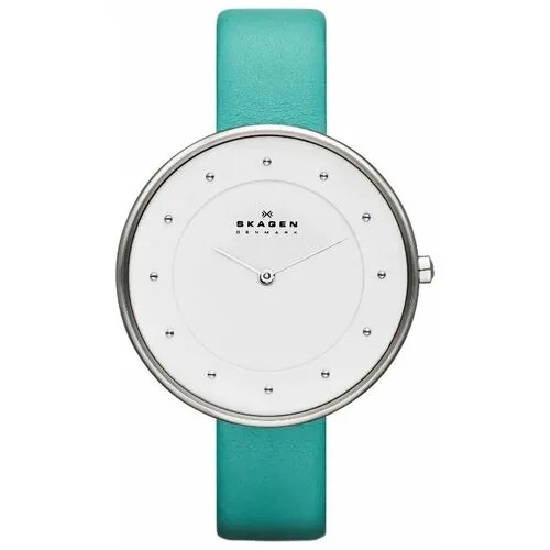 Наручные часы Skagen SKW2134