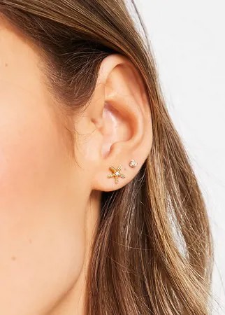 Золотистые серьги-гвоздики в виде морской морской звезды Ted Baker Starly-Золотистый