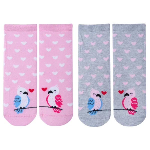 Комплект носков женских НАШЕ 2-422С8 разноцветных 23
