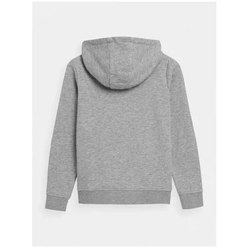 Толстовка 4F GIRL'S SWEATSHIRTS Дети HJZ21-JBLD002A-27M 128