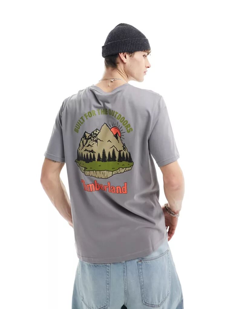 Серая футболка оверсайз Timberland с принтом в виде горного пейзажа на спине