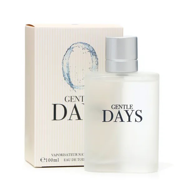 Туалетная вода мужская gentle days, 100 мл