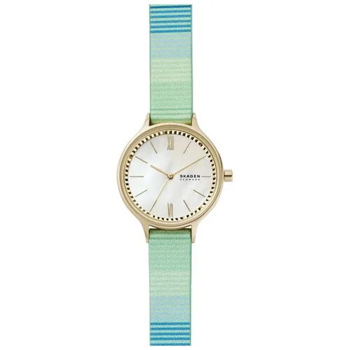 Наручные часы Skagen SKW2905