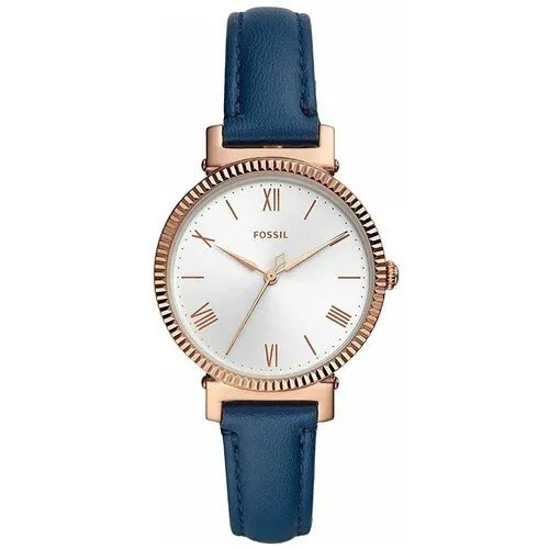 Наручные часы FOSSIL Daisy, золотой