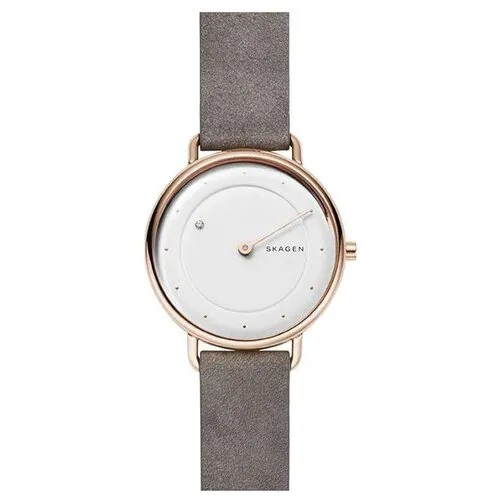 Наручные часы Skagen SKW2739