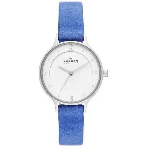 Наручные часы SKAGEN SKW2173
