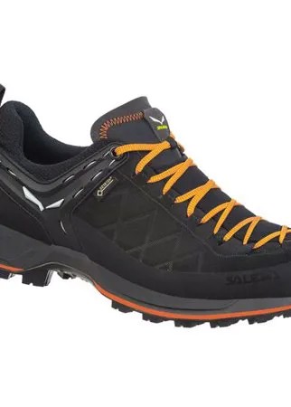 Кроссовки Salewa Mountain Trainer 2 GORE-TEX